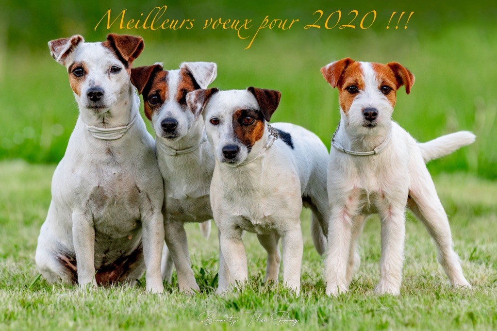 Meilleurs voeux pour cette nouvelle année 2020